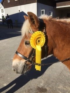 Debutt på bortebane!